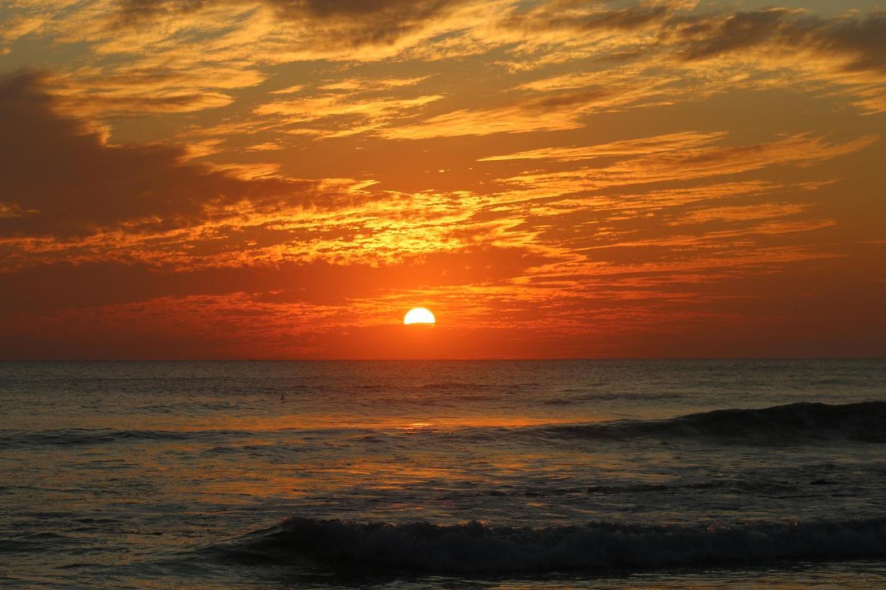 El Gato Rojas Surf Hostel Playa Santa Teresa  Екстер'єр фото