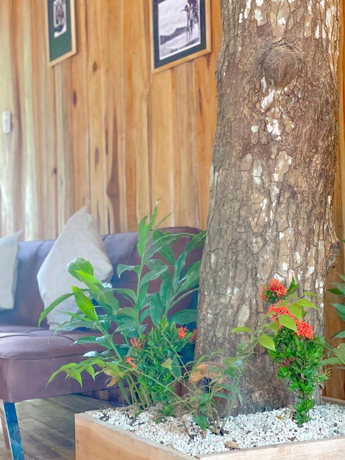 El Gato Rojas Surf Hostel Playa Santa Teresa  Екстер'єр фото