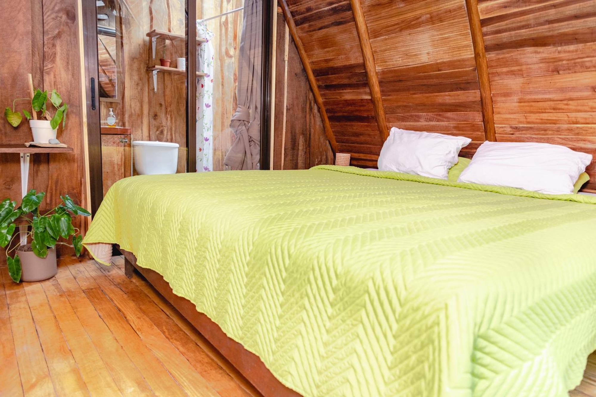 El Gato Rojas Surf Hostel Playa Santa Teresa  Екстер'єр фото